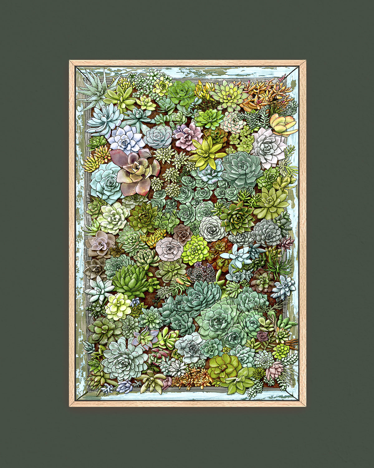 Succulent living wall art by Jen Montgomery.