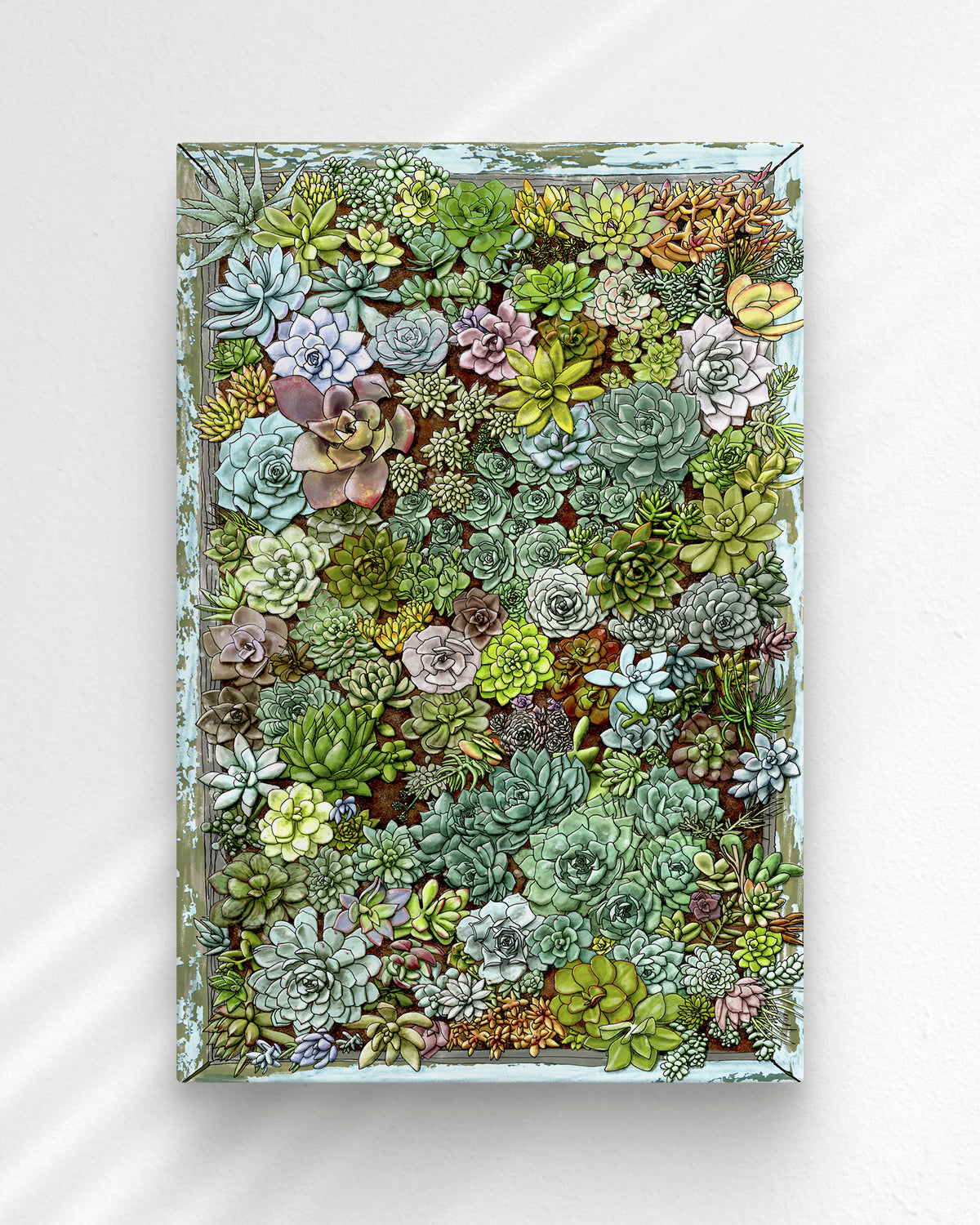 Succulent living wall art by Jen Montgomery.