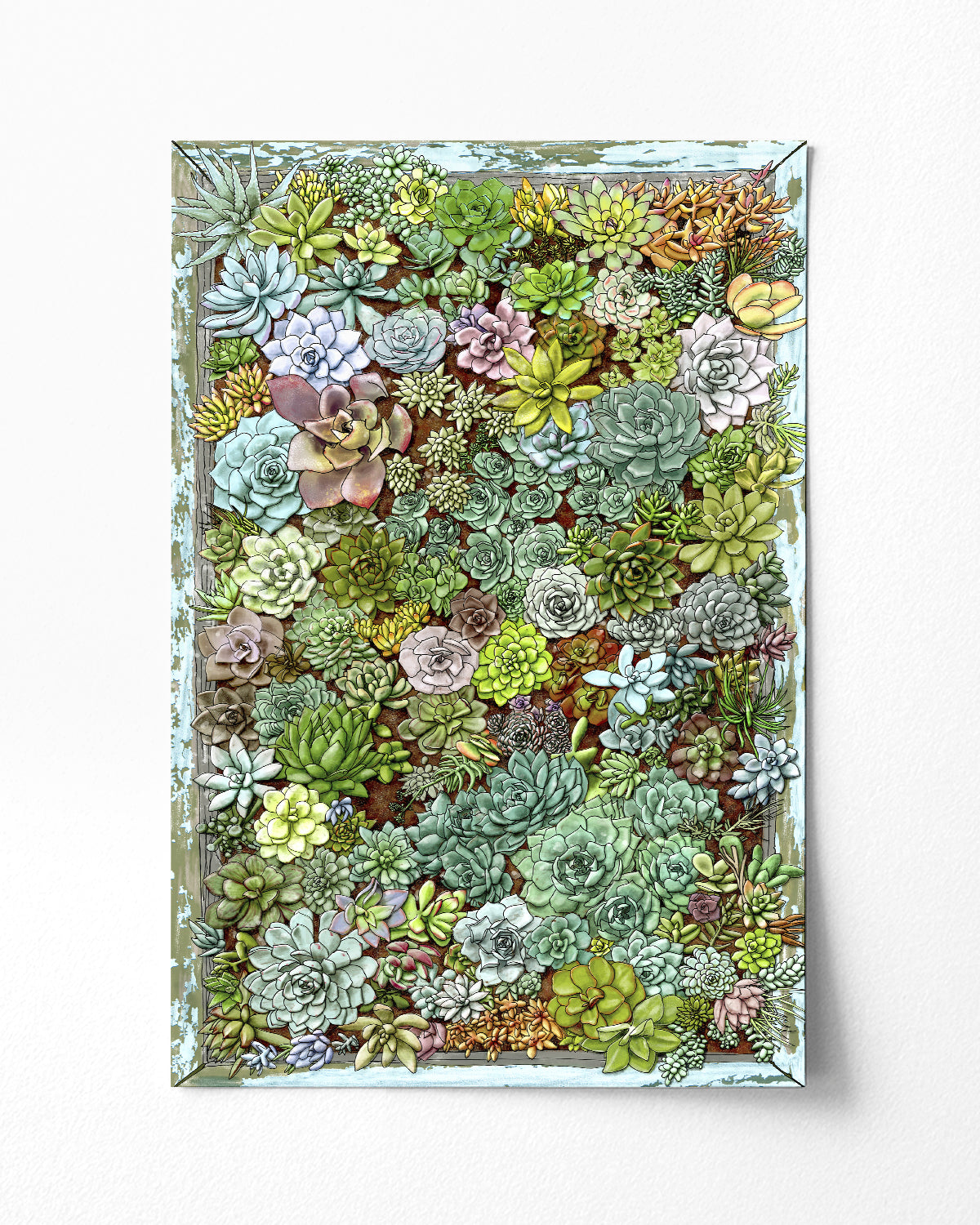 Succulent living wall art by Jen Montgomery.