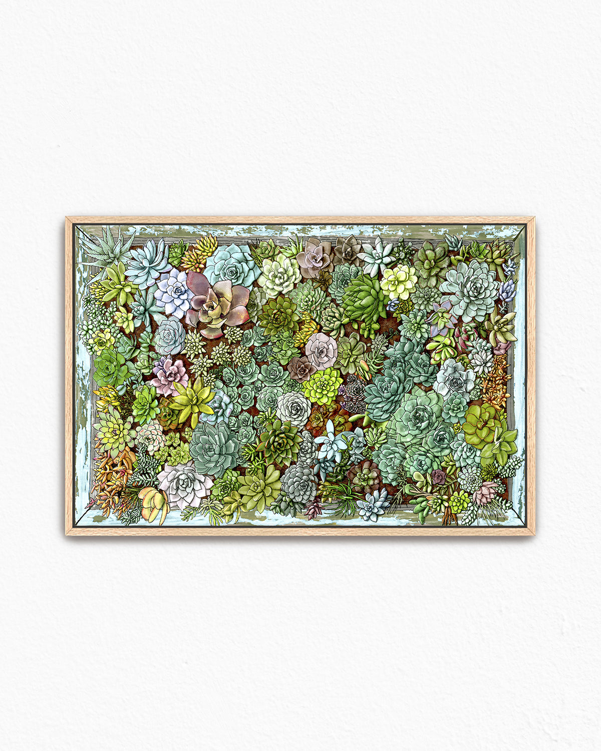 Succulent living wall art by Jen Montgomery.