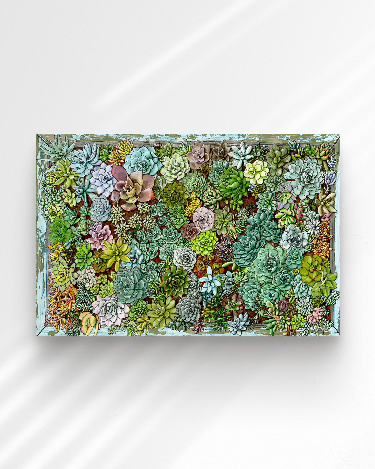 Succulent living wall art by Jen Montgomery.