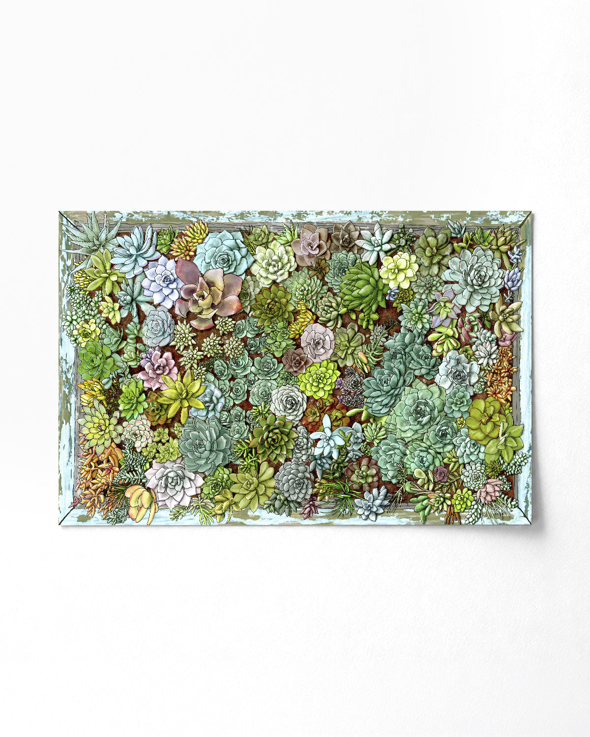 Succulent living wall art by Jen Montgomery.