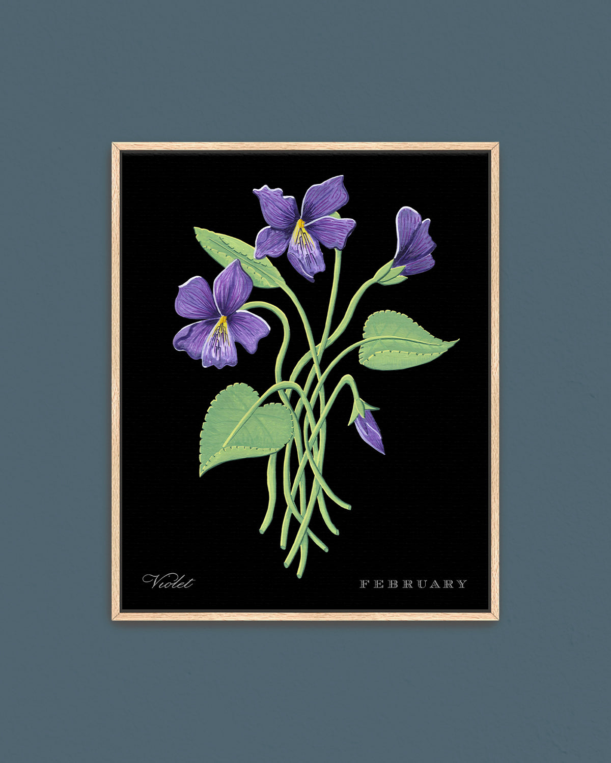 Violet (February) birth flower fine art print, classic botanical style on black background. Oak frame available.