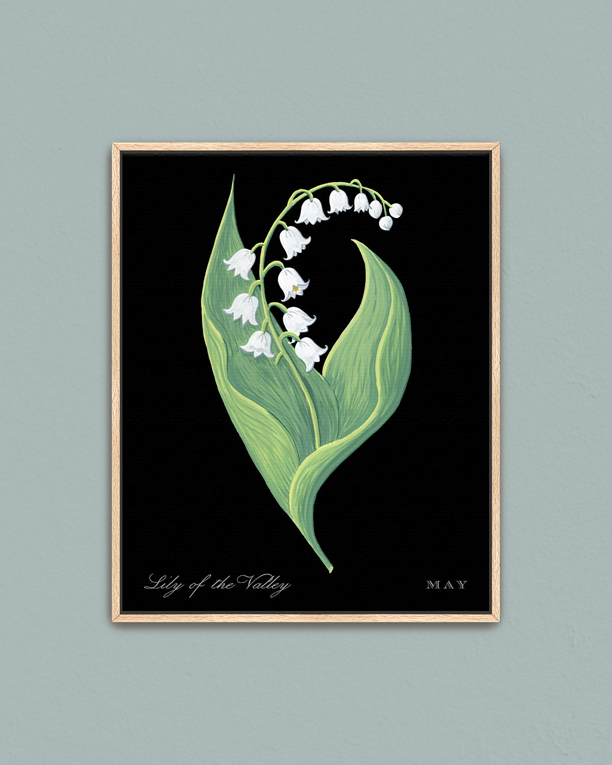 Lily of the Valley (May) birth flower fine art print, classic botanical style on black background. Oak frame available.