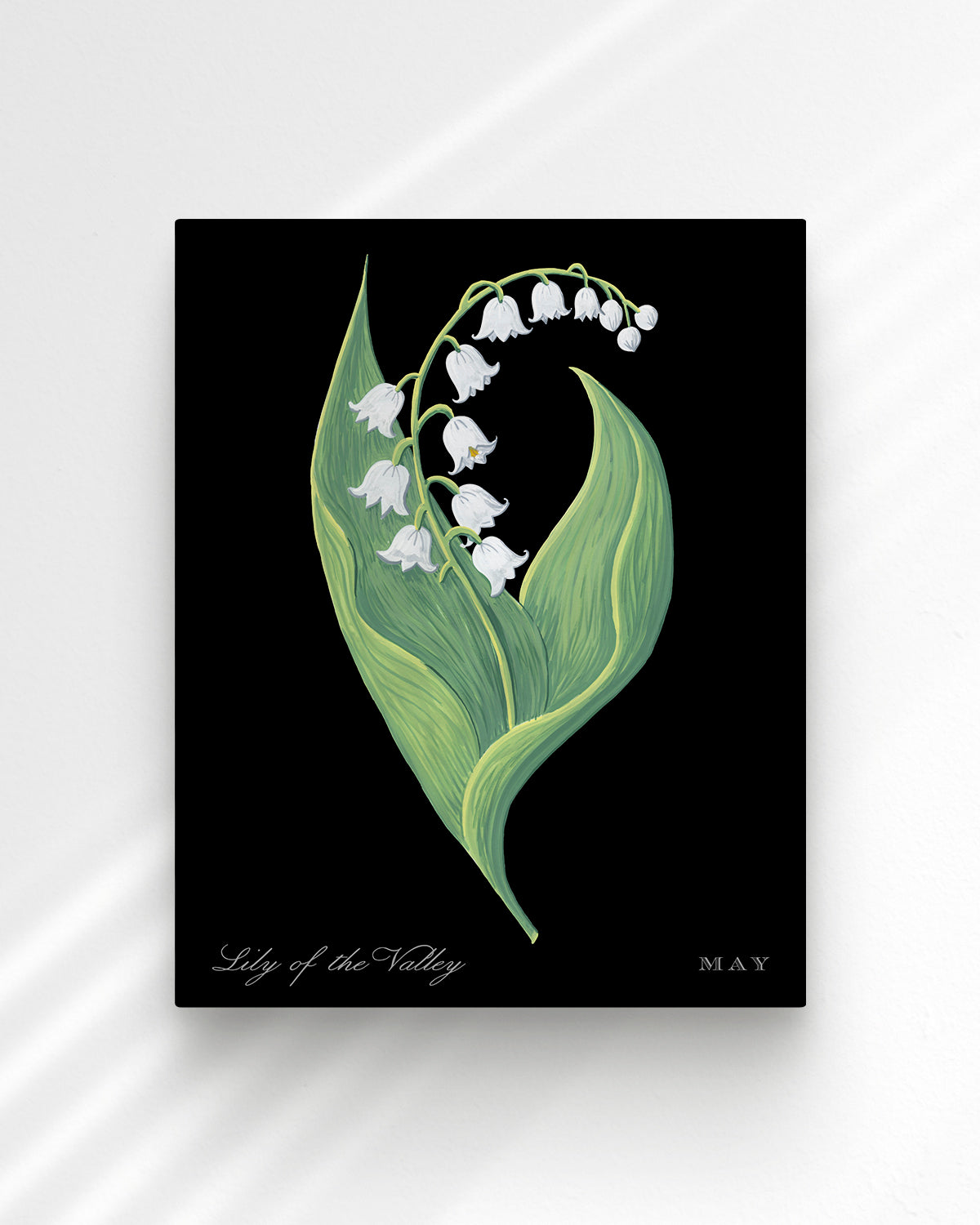 Lily of the Valley (May) birth flower fine art print, classic botanical style on black background. Oak frame available.