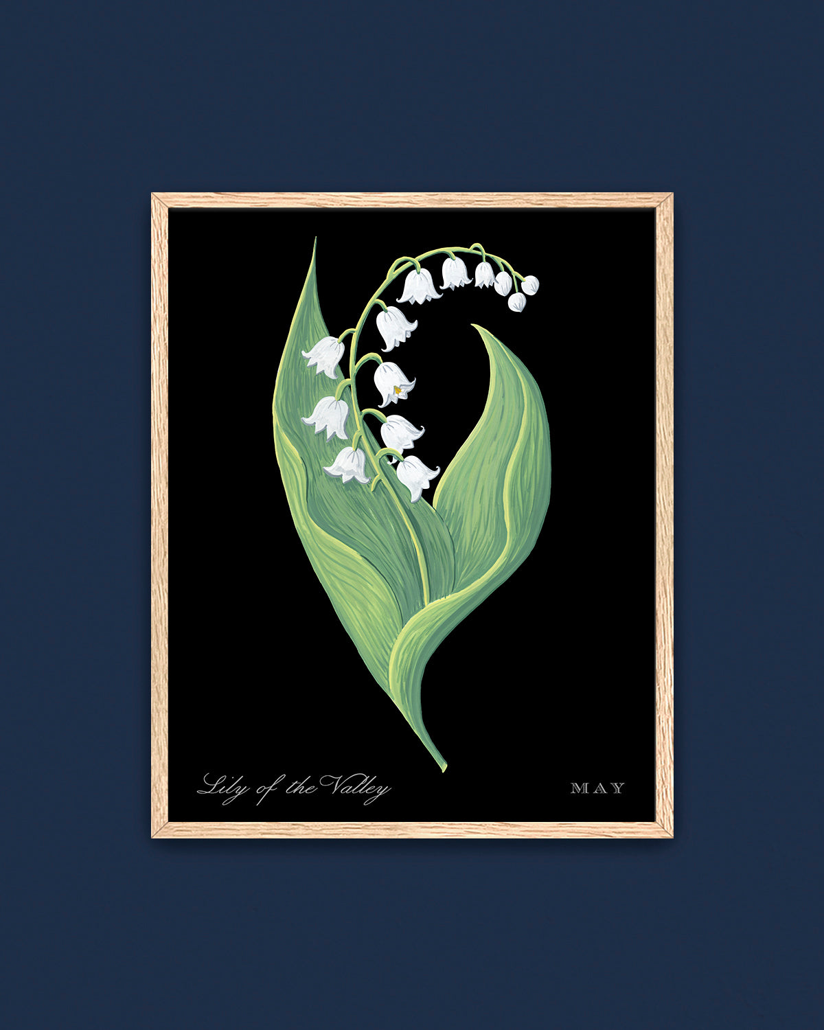 Lily of the Valley (May) birth flower fine art print, classic botanical style on black background. Oak frame available.