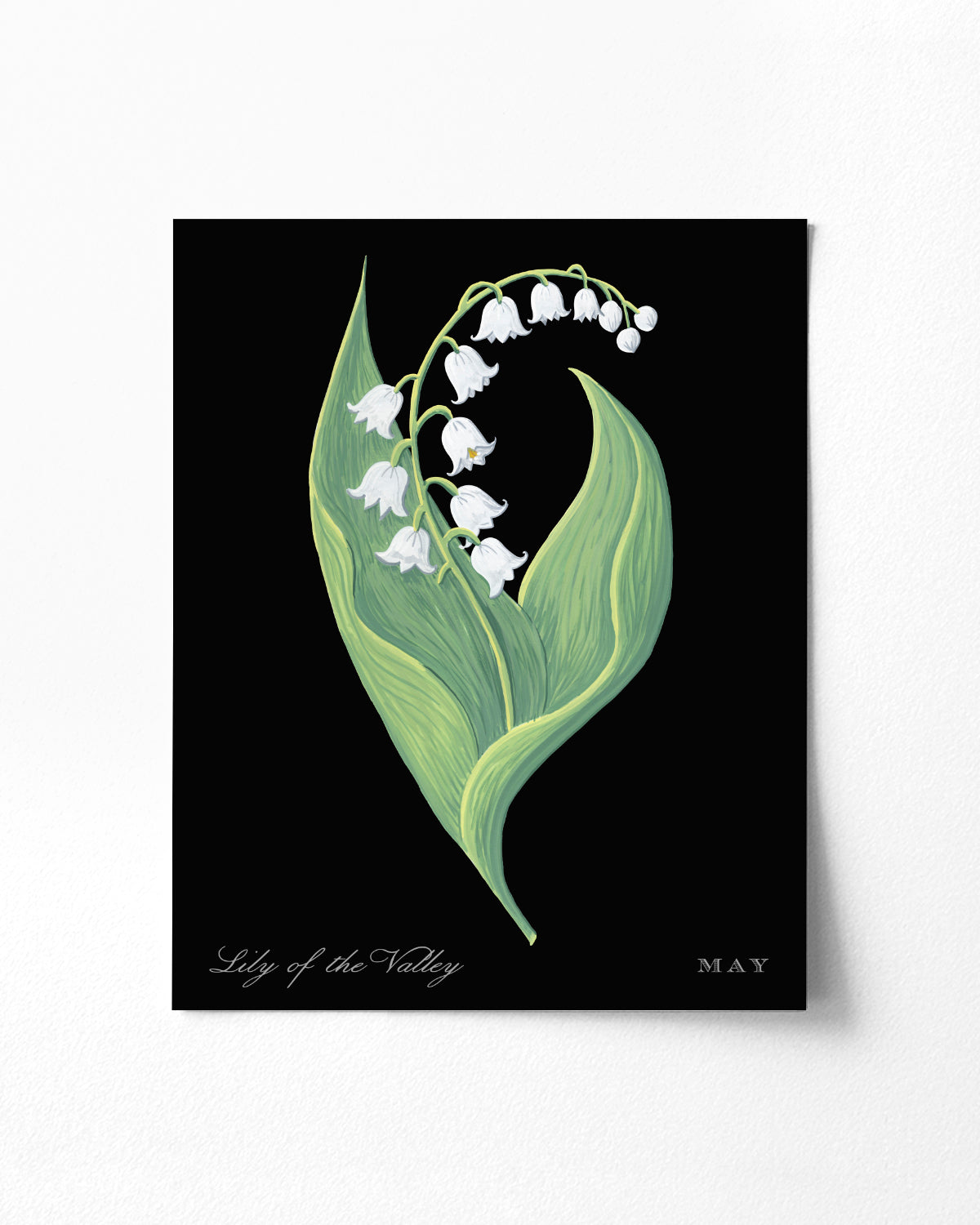 Lily of the Valley (May) birth flower fine art print, classic botanical style on black background. Oak frame available.