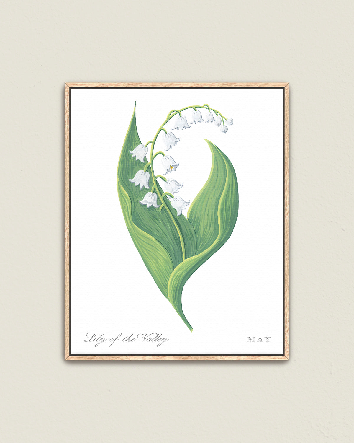 Lily of the Valley (May) birth flower fine art print, classic botanical style on white background. Oak frame available.