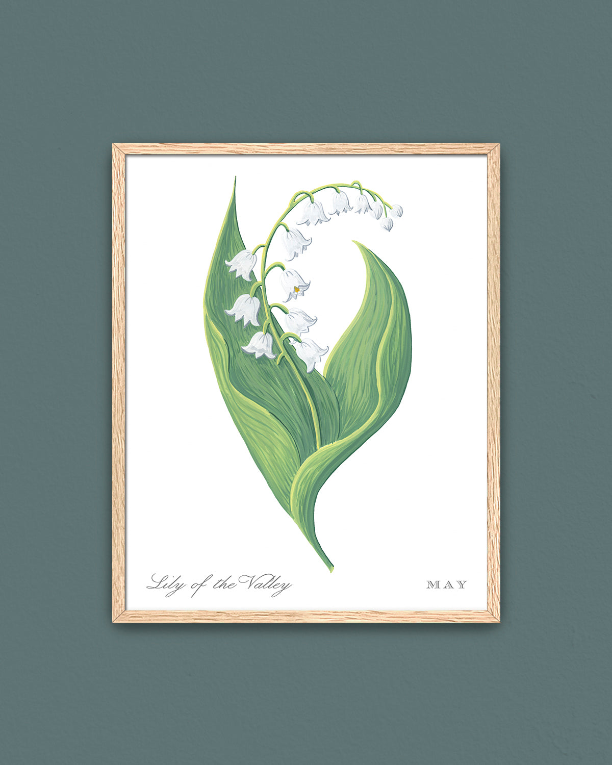 Lily of the Valley (May) birth flower fine art print, classic botanical style on white background. Oak frame available.