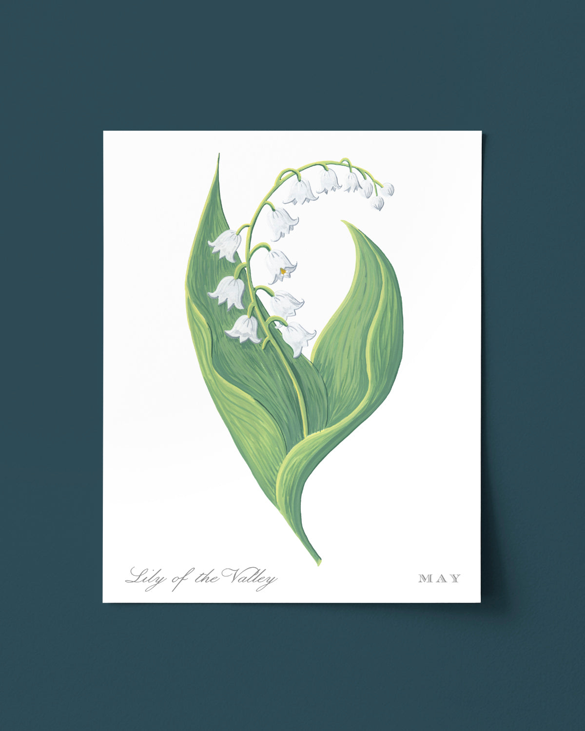 Lily of the Valley (May) birth flower fine art print, classic botanical style on white background. Oak frame available.