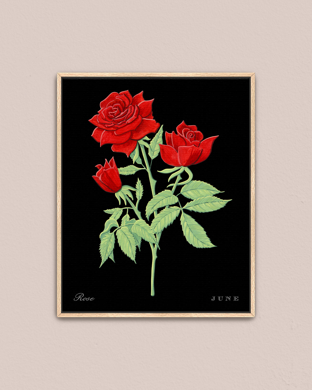 Rose (June) birth flower fine art print, classic botanical style on black background. Oak frame available.