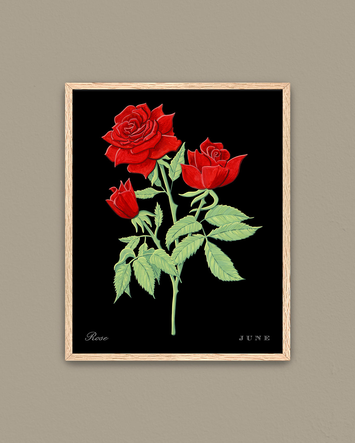 Rose (June) birth flower fine art print, classic botanical style on black background. Oak frame available.