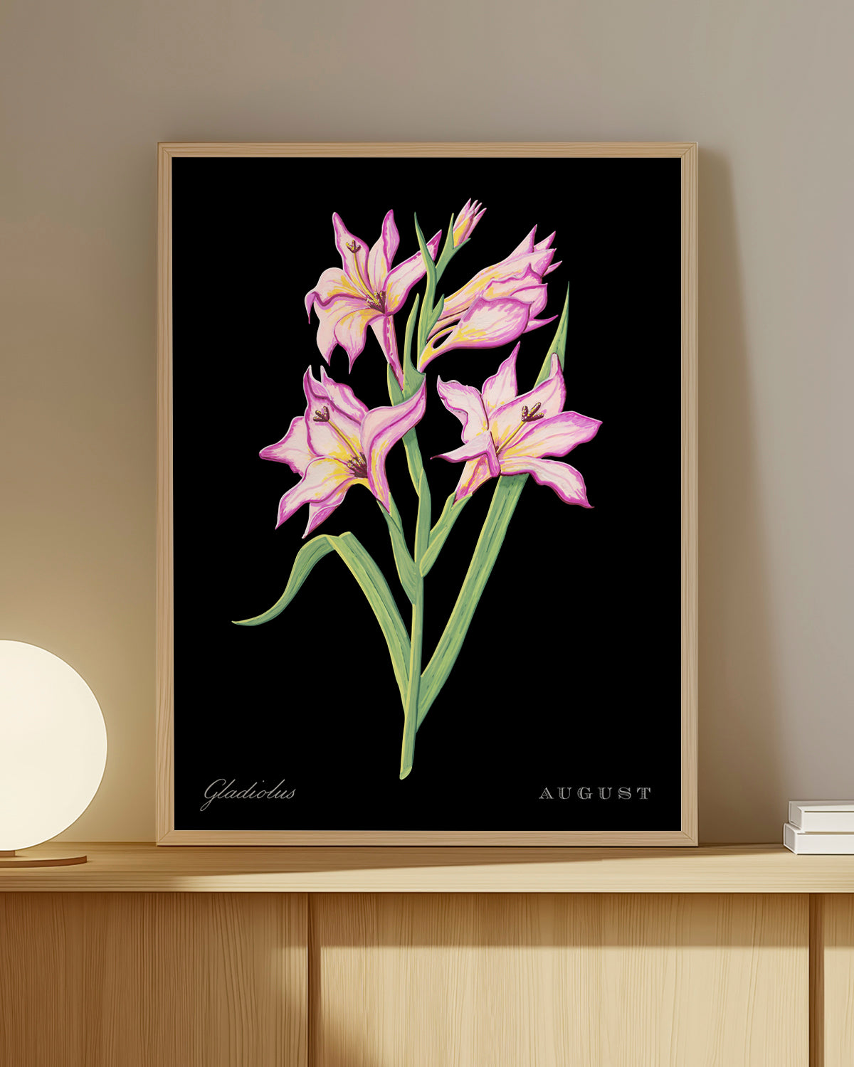 Gladiolus (August) birth flower fine art print, classic botanical style on black background. Oak frame available.