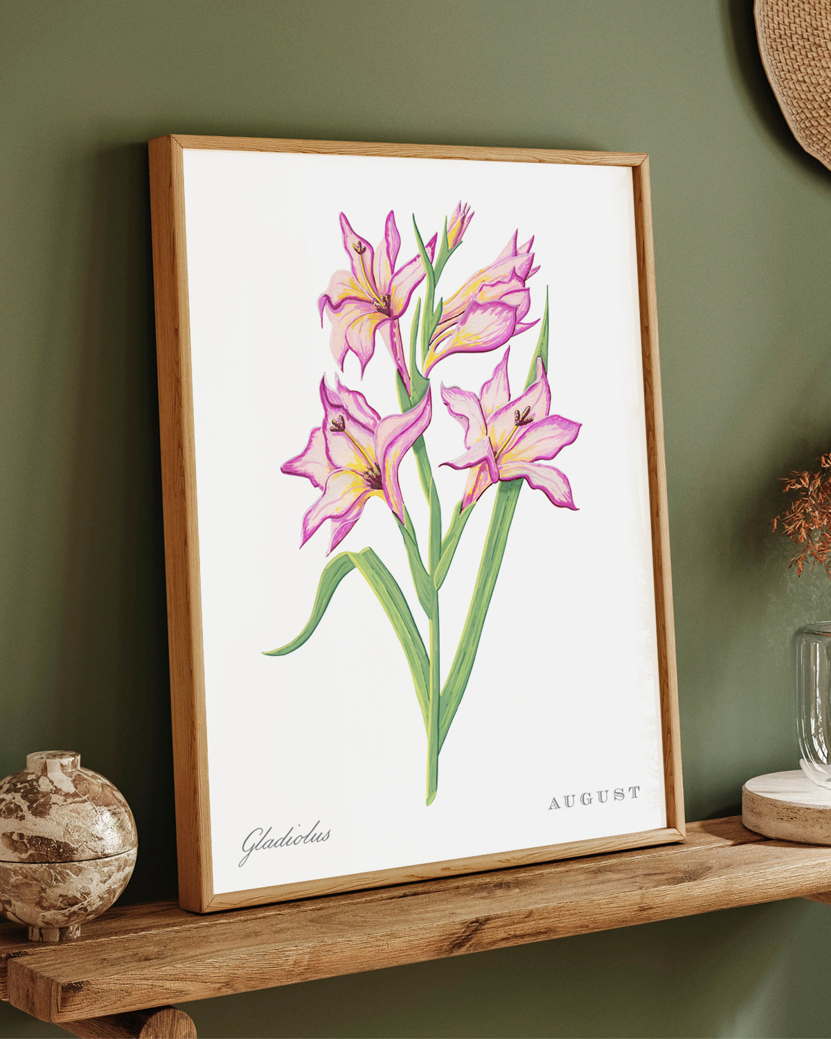 Gladiolus (August) birth flower fine art print, classic botanical style on white background. Oak frame available.