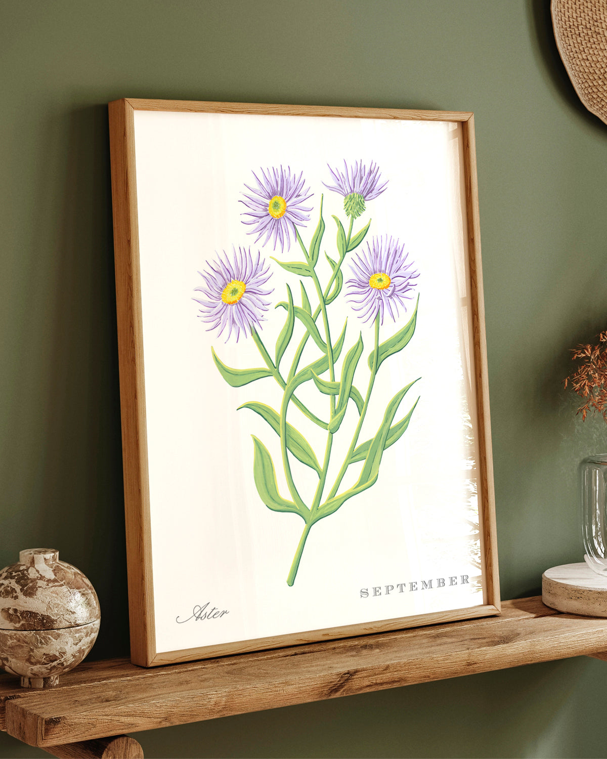 Aster (September) birth flower fine art print, classic botanical style on white background. Oak frame available.