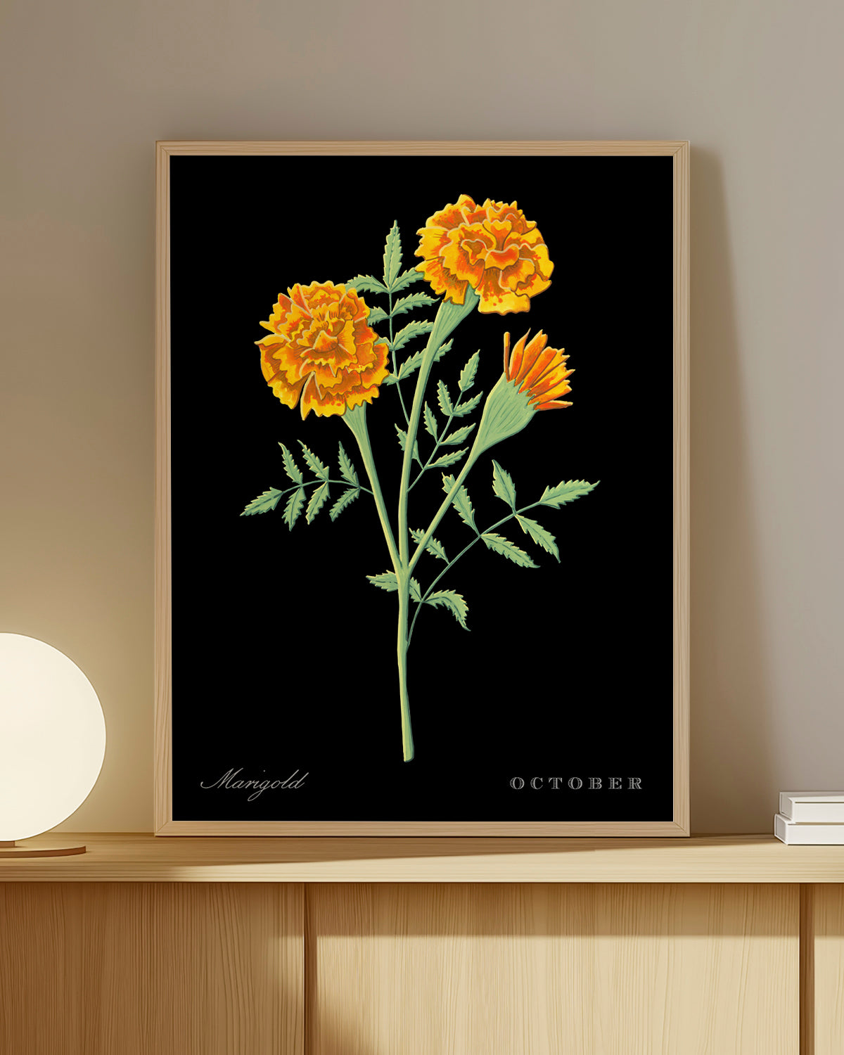 Marigold (October) birth flower fine art print, classic botanical style on black background. Oak frame available.