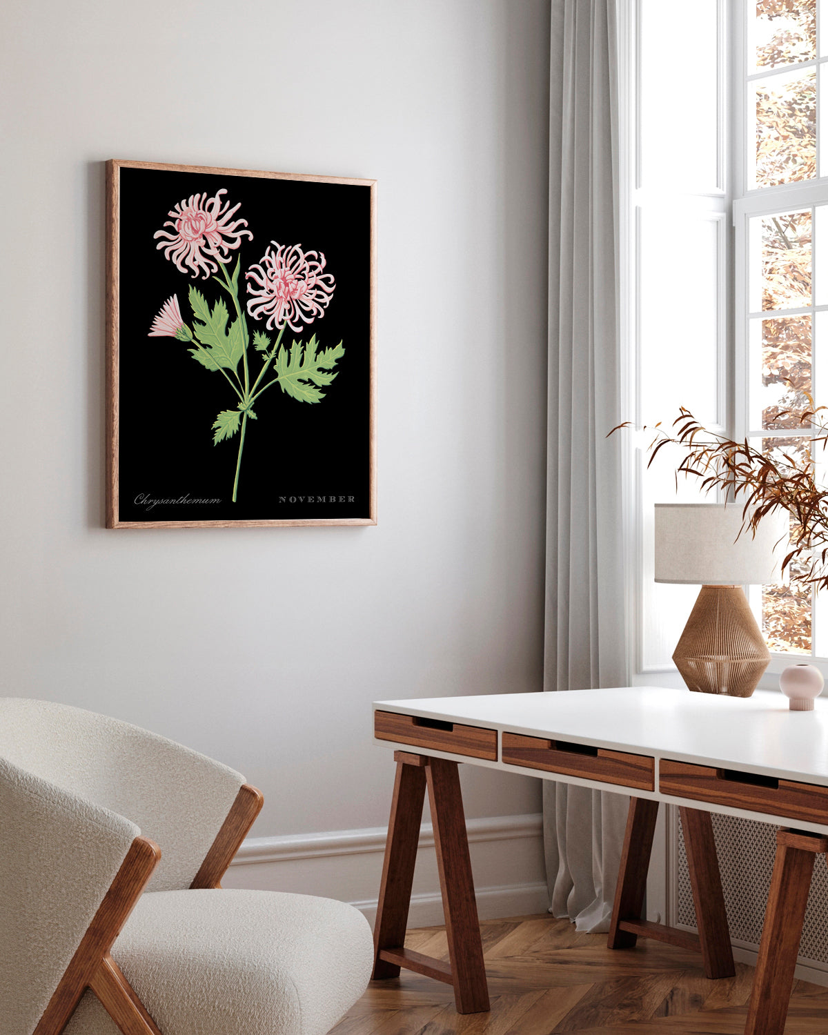 Chrysanthemum (November) birth flower fine art print, classic botanical style on black background. Oak frame available.