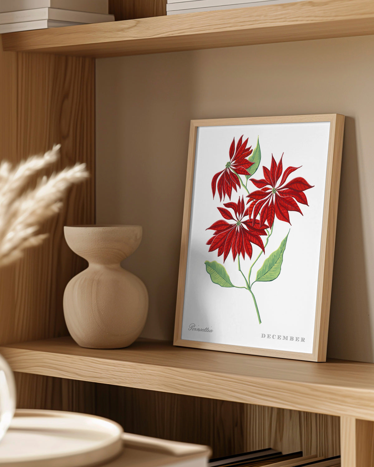 Poinsettia (December) birth flower fine art print, classic botanical style on white background. Oak frame available.