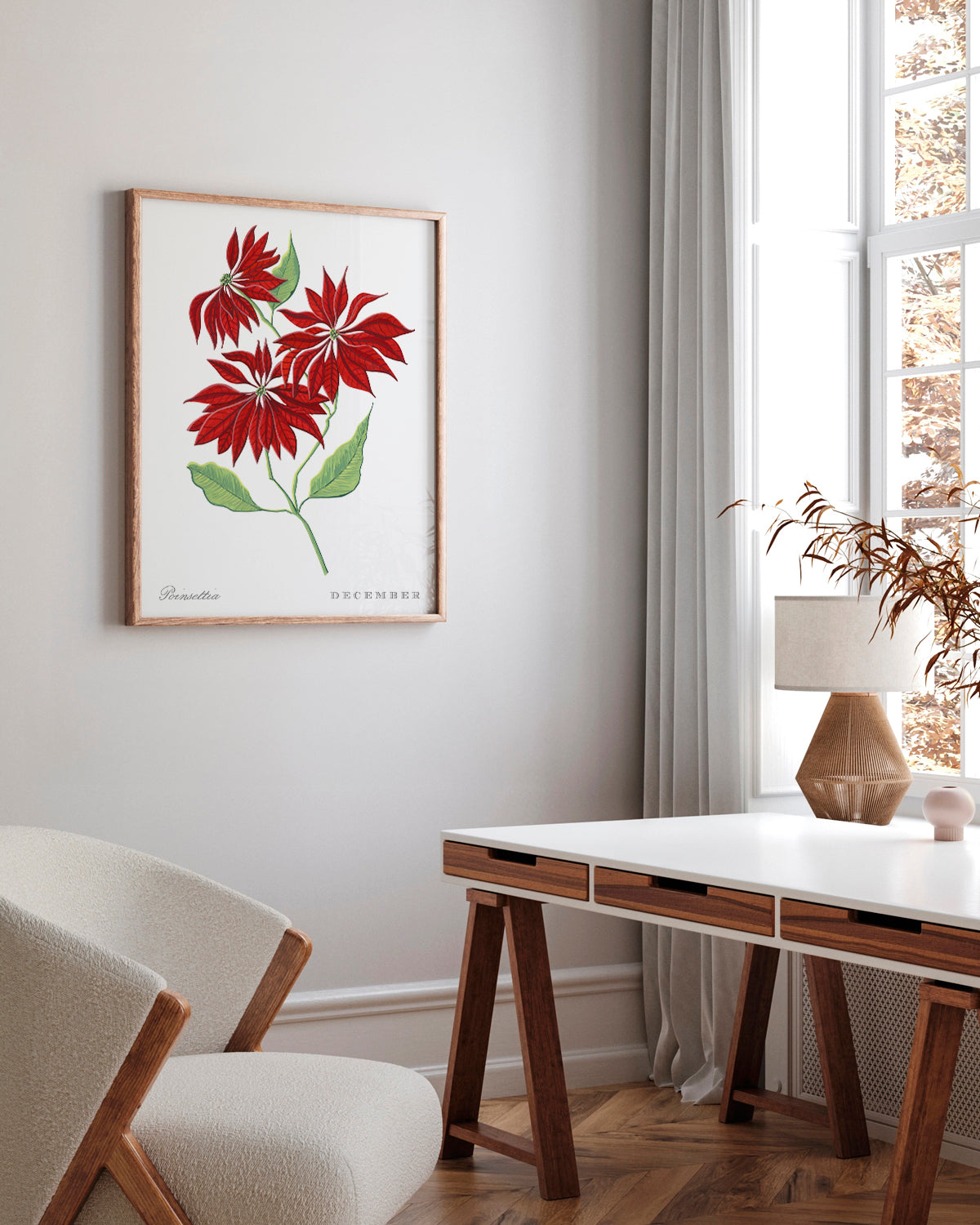 Poinsettia (December) birth flower fine art print, classic botanical style on white background. Oak frame available.