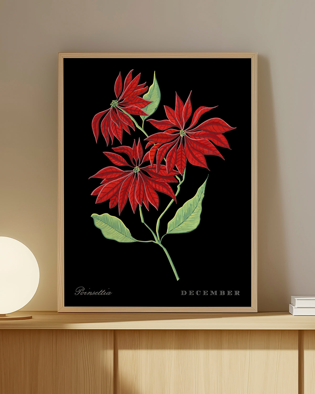 Poinsettia (December) birth flower fine art print, classic botanical style on black background. Oak frame available.