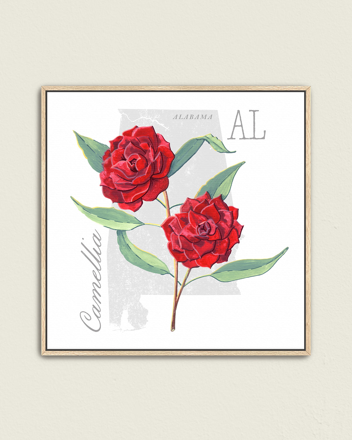 Camellia (Alabama) state flower fine art print, classic botanical style on white background. Oak frame available.