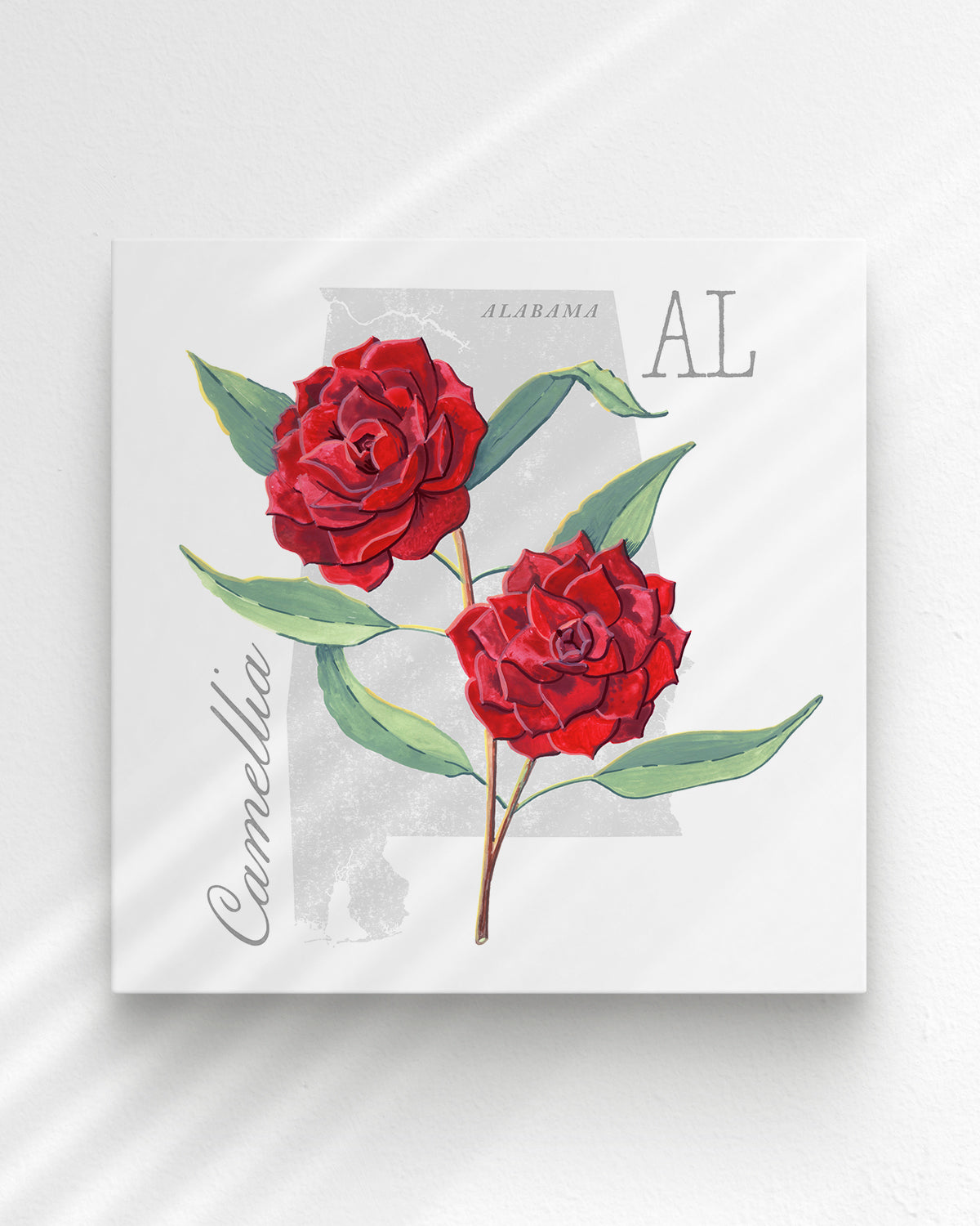 Camellia (Alabama) state flower fine art print, classic botanical style on white background. Oak frame available.