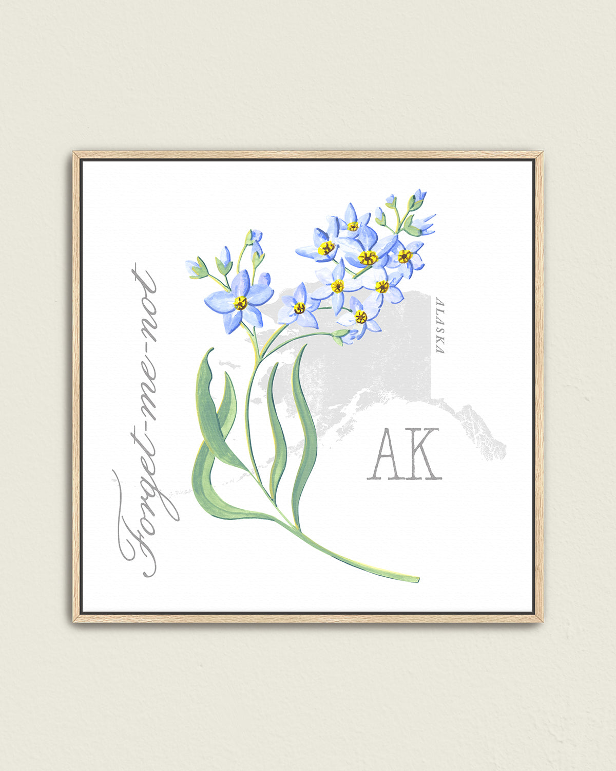 Forget-me-Not (Alaska) state flower fine art print, classic botanical style on white background. Oak frame available.