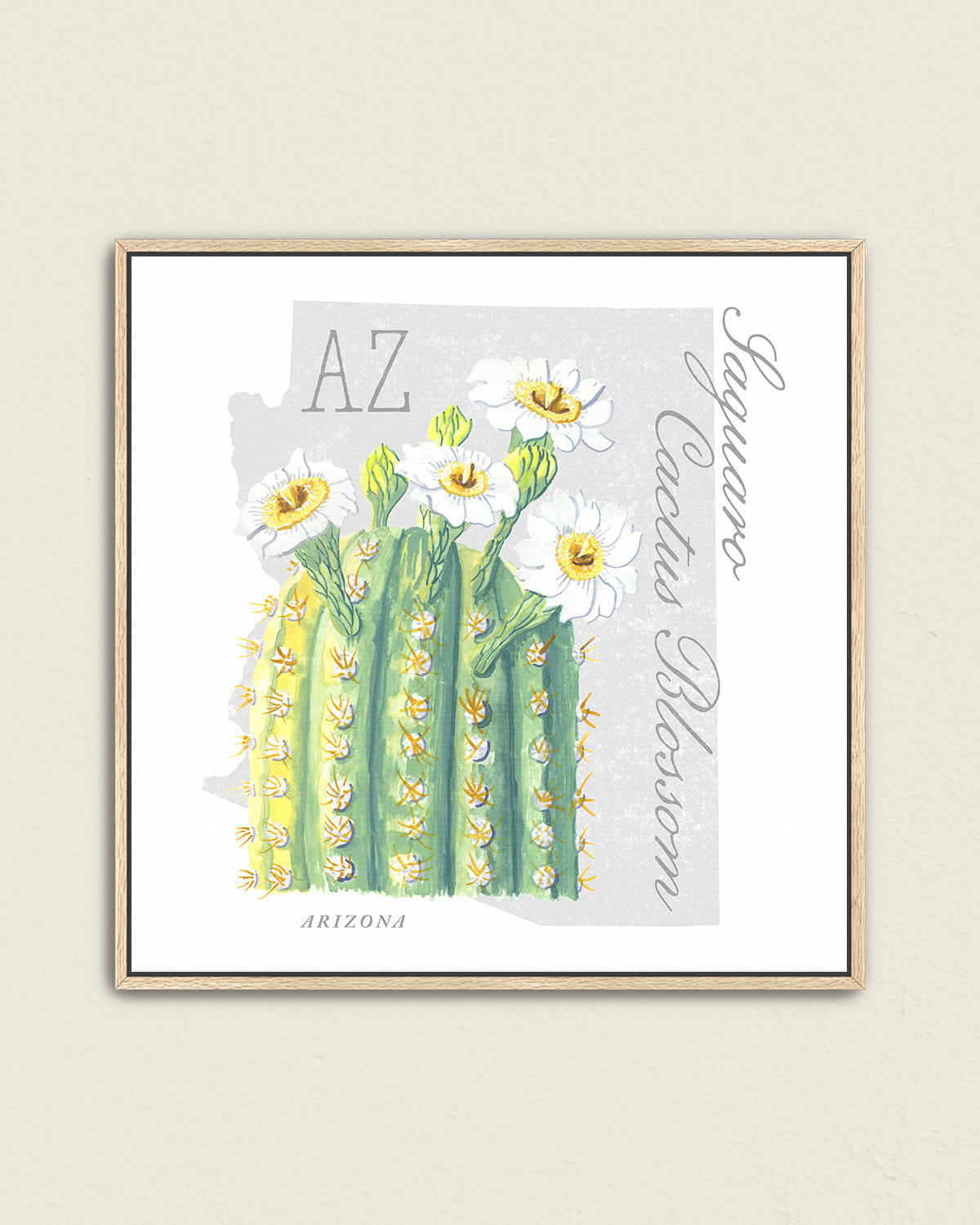 Saguaro Cactus Blossom (Arizona) state flower fine art print, classic botanical style on white background. Oak frame available.