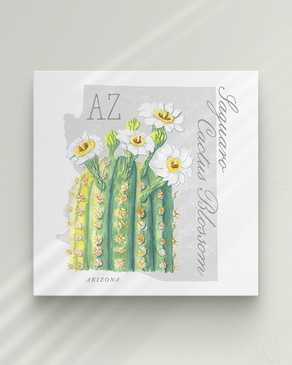 Saguaro Cactus Blossom (Arizona) state flower fine art print, classic botanical style on white background. Oak frame available.