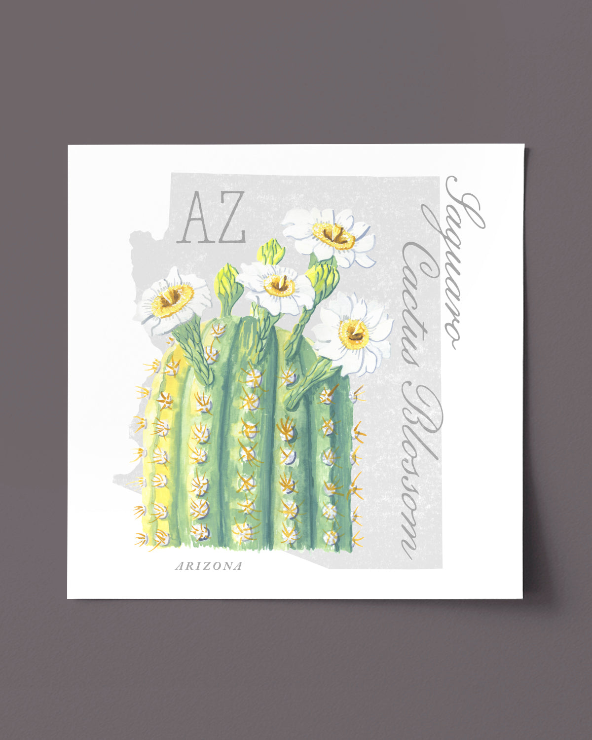 Saguaro Cactus Blossom (Arizona) state flower fine art print, classic botanical style on white background. Oak frame available.
