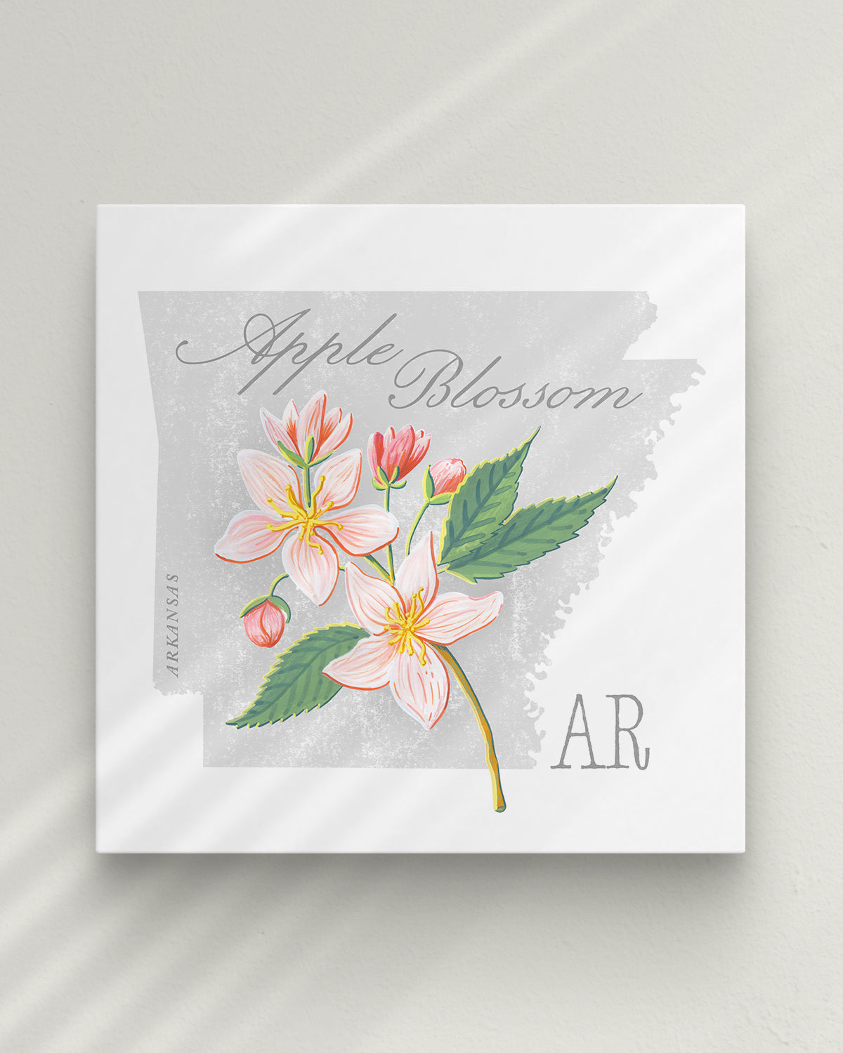 Apple Blossom (Arkansas) state flower fine art print, classic botanical style on white background. Oak frame available.