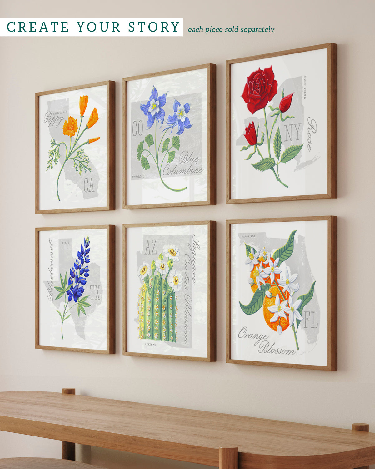 California Poppy (California) state flower fine art print, classic botanical style on white background. Oak frame available.