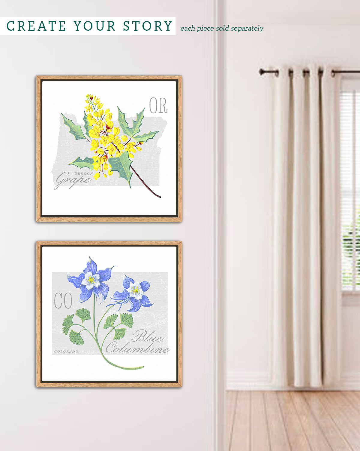 Blue Columbine (Colorado) state flower fine art print, classic botanical style on white background. Oak frame available.