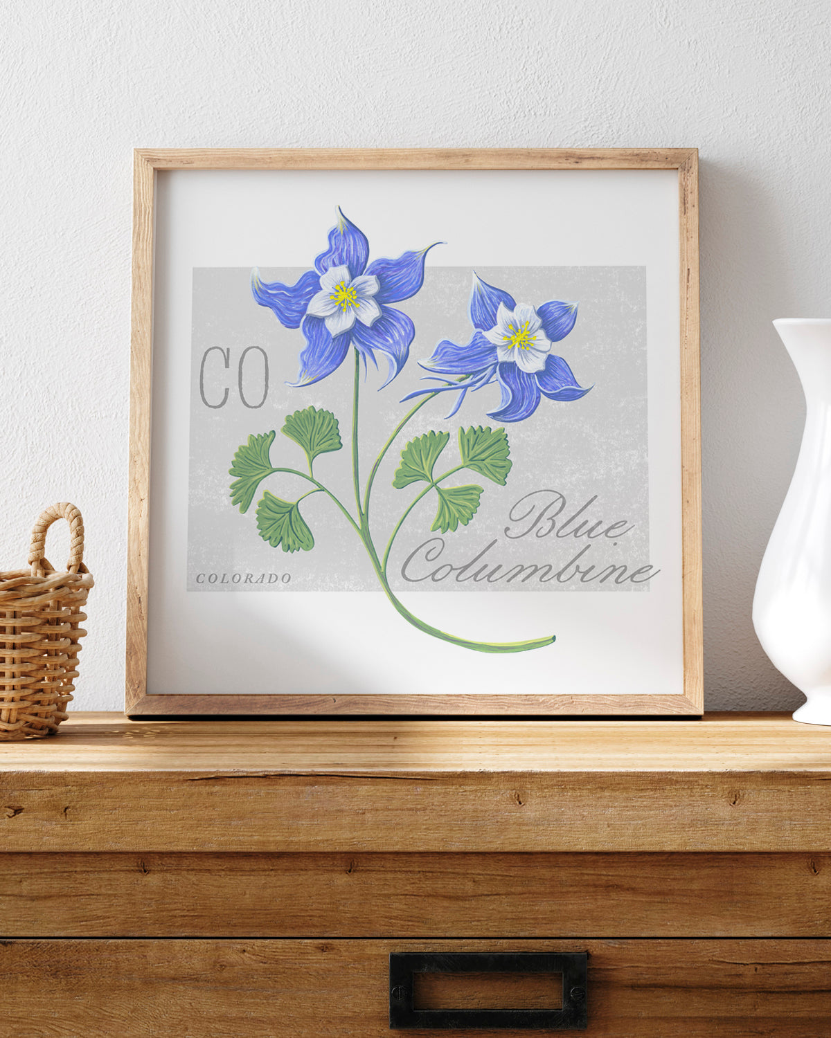 Blue Columbine (Colorado) state flower fine art print, classic botanical style on white background. Oak frame available.