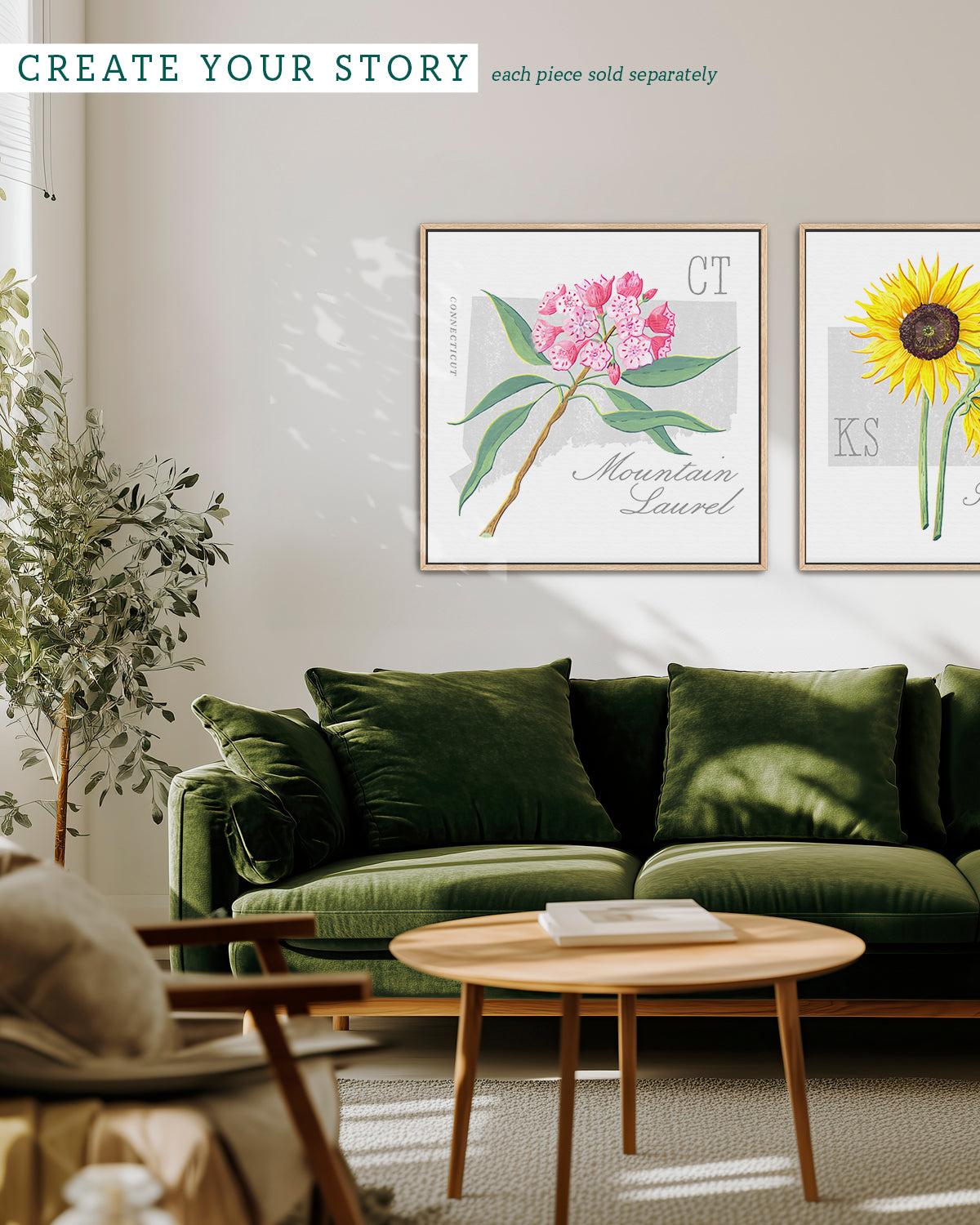 Mountain Laurel (Connecticut) state flower fine art print, classic botanical style on white background. Oak frame available.