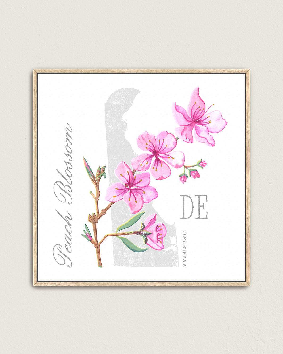 Peach Blossom (Delaware) state flower fine art print, classic botanical style on white background. Oak frame available.