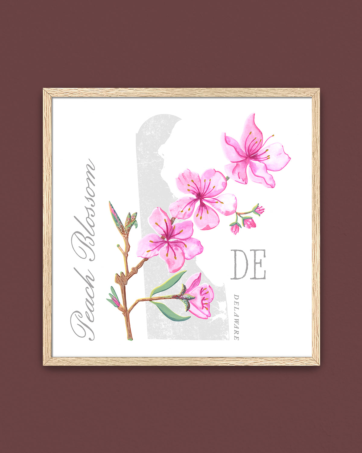 Peach Blossom (Delaware) state flower fine art print, classic botanical style on white background. Oak frame available.