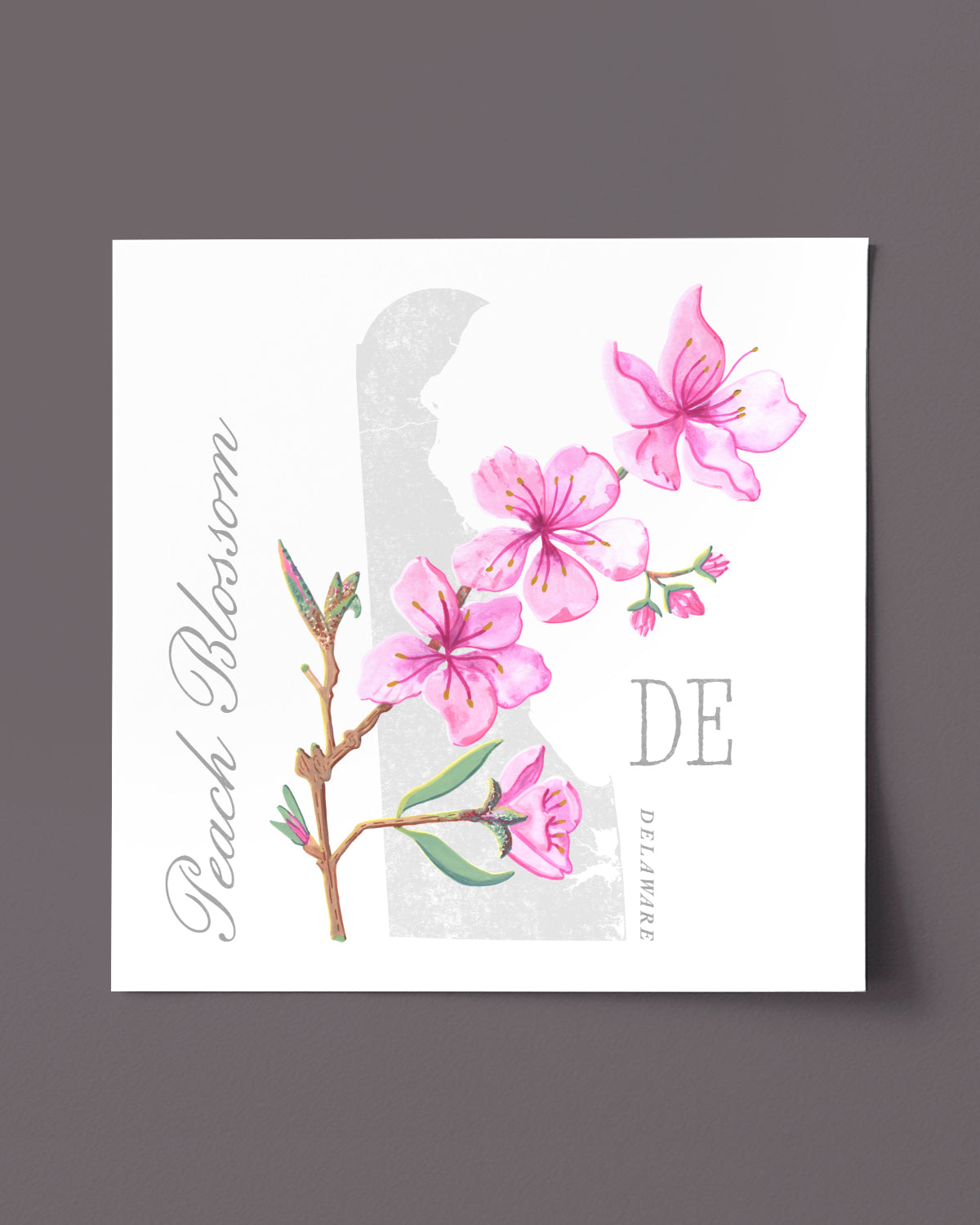 Peach Blossom (Delaware) state flower fine art print, classic botanical style on white background. Oak frame available.