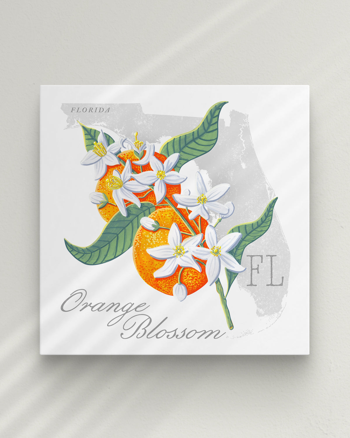 Orange Blossom (Florida) state flower fine art print, classic botanical style on white background. Oak frame available.