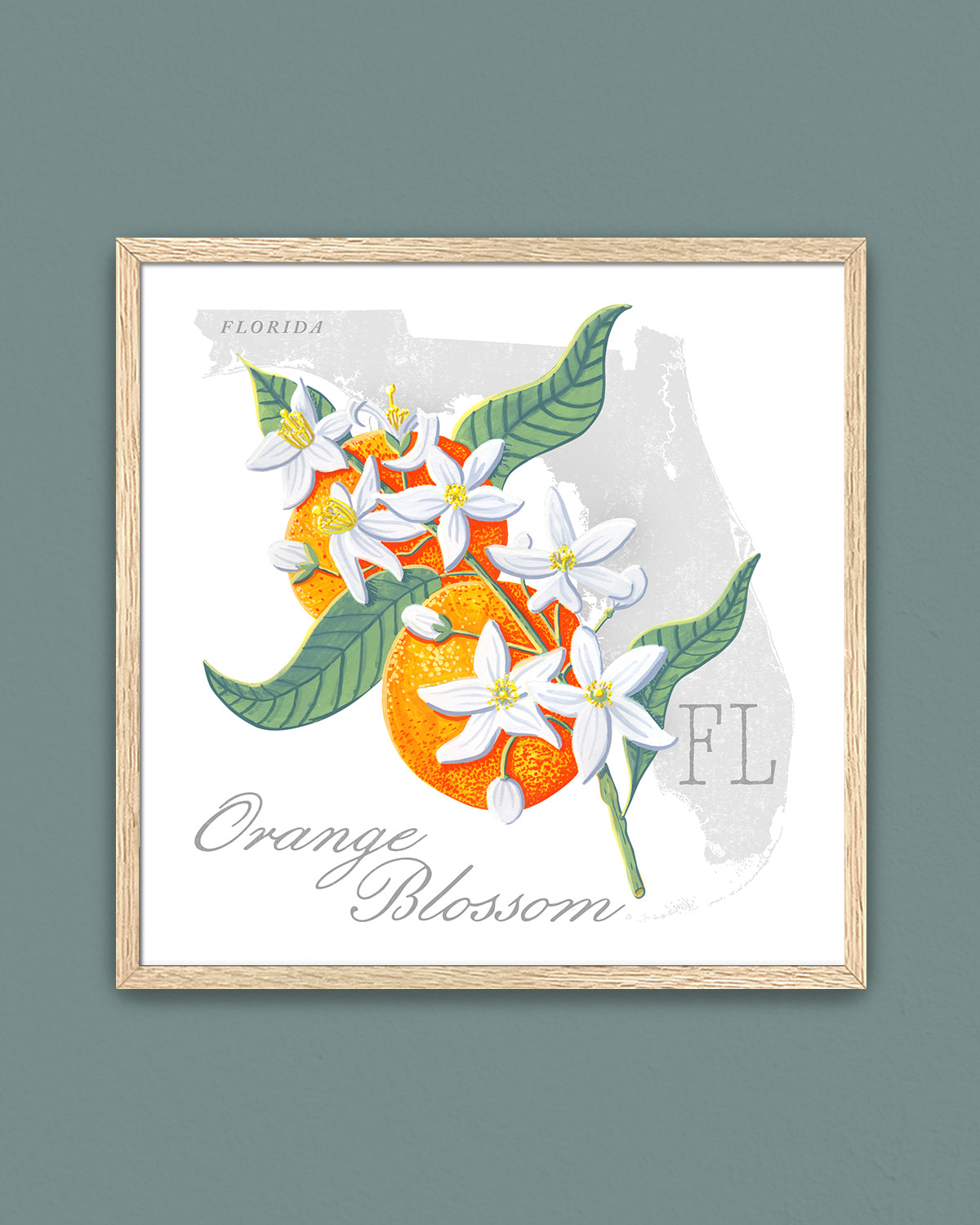 Orange Blossom (Florida) state flower fine art print, classic botanical style on white background. Oak frame available.