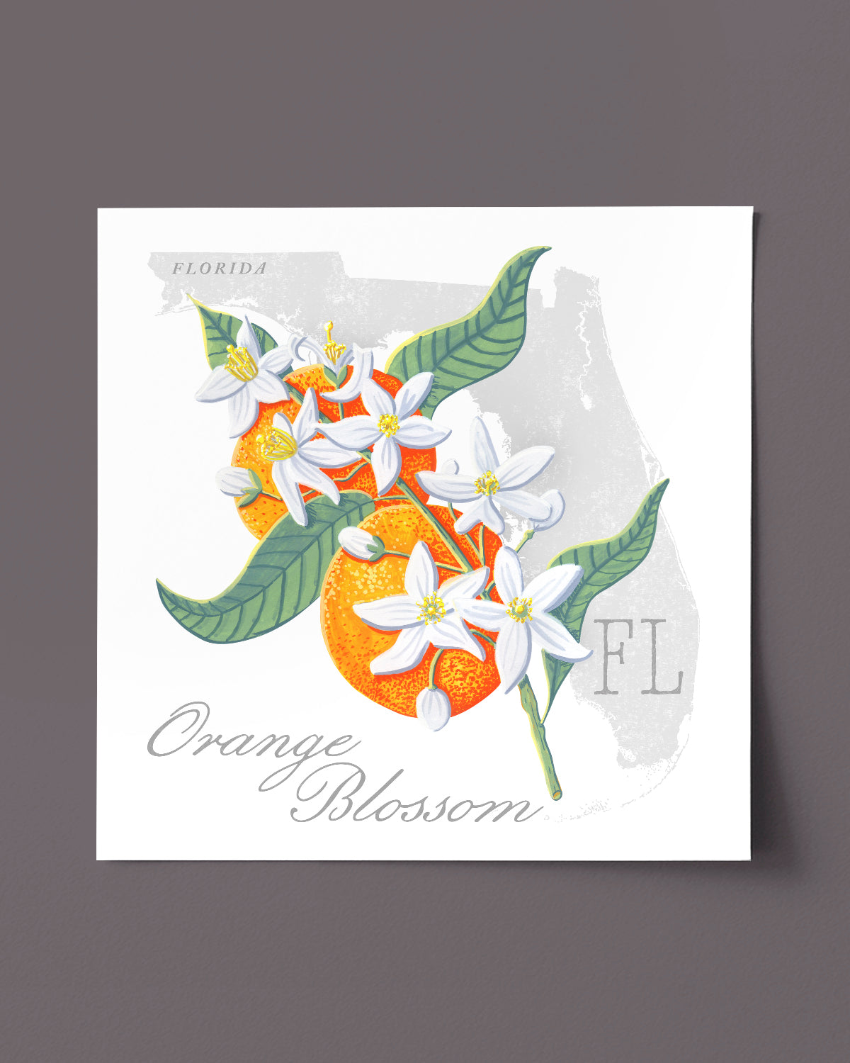Orange Blossom (Florida) state flower fine art print, classic botanical style on white background. Oak frame available.
