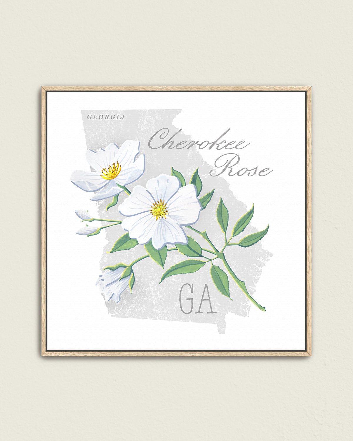 Cherokee Rose (Georgia) state flower fine art print, classic botanical style on white background. Oak frame available.
