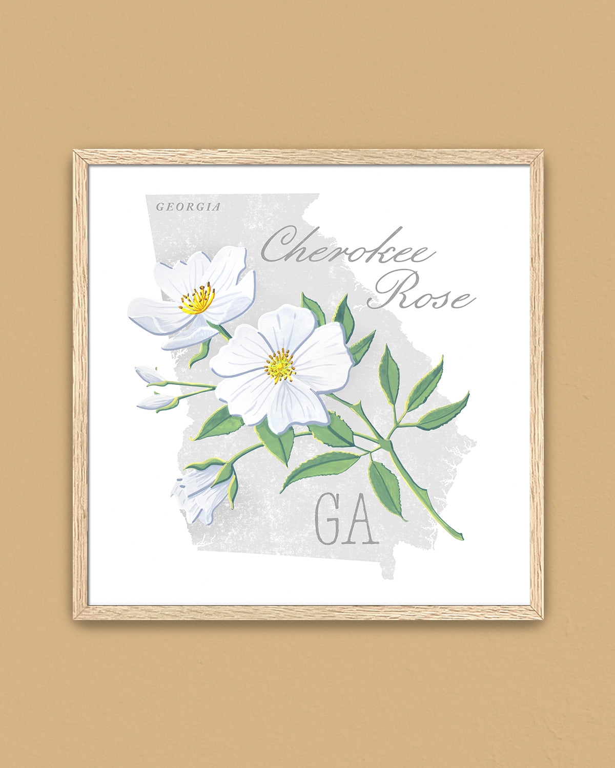 Cherokee Rose (Georgia) state flower fine art print, classic botanical style on white background. Oak frame available.