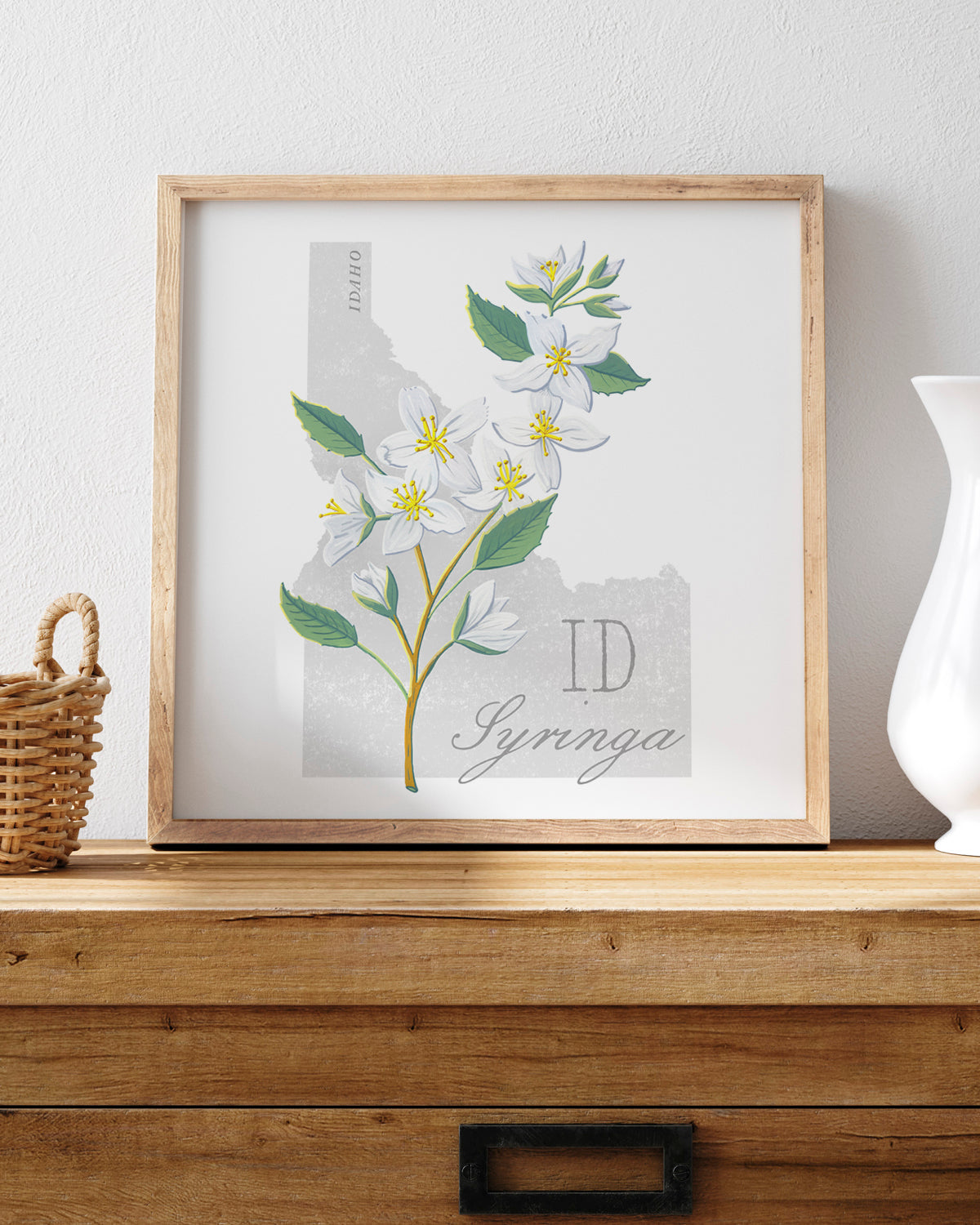 Syringa (Idaho) state flower fine art print, classic botanical style on white background. Oak frame available.