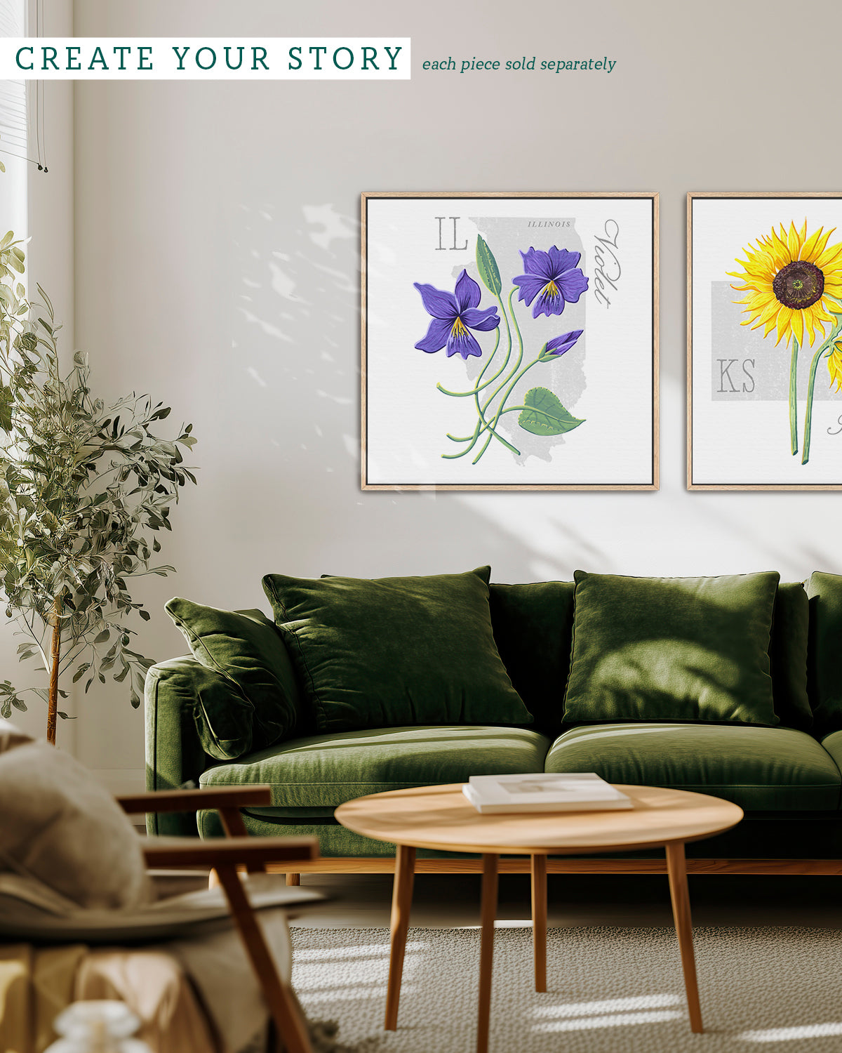 Violet (Illinois) state flower fine art print, classic botanical style on white background. Oak frame available.