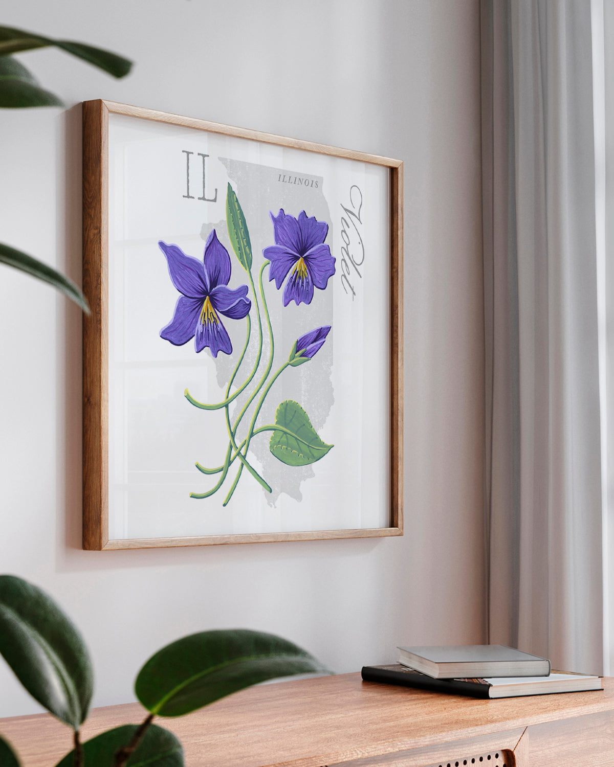 Violet (Illinois) state flower fine art print, classic botanical style on white background. Oak frame available.
