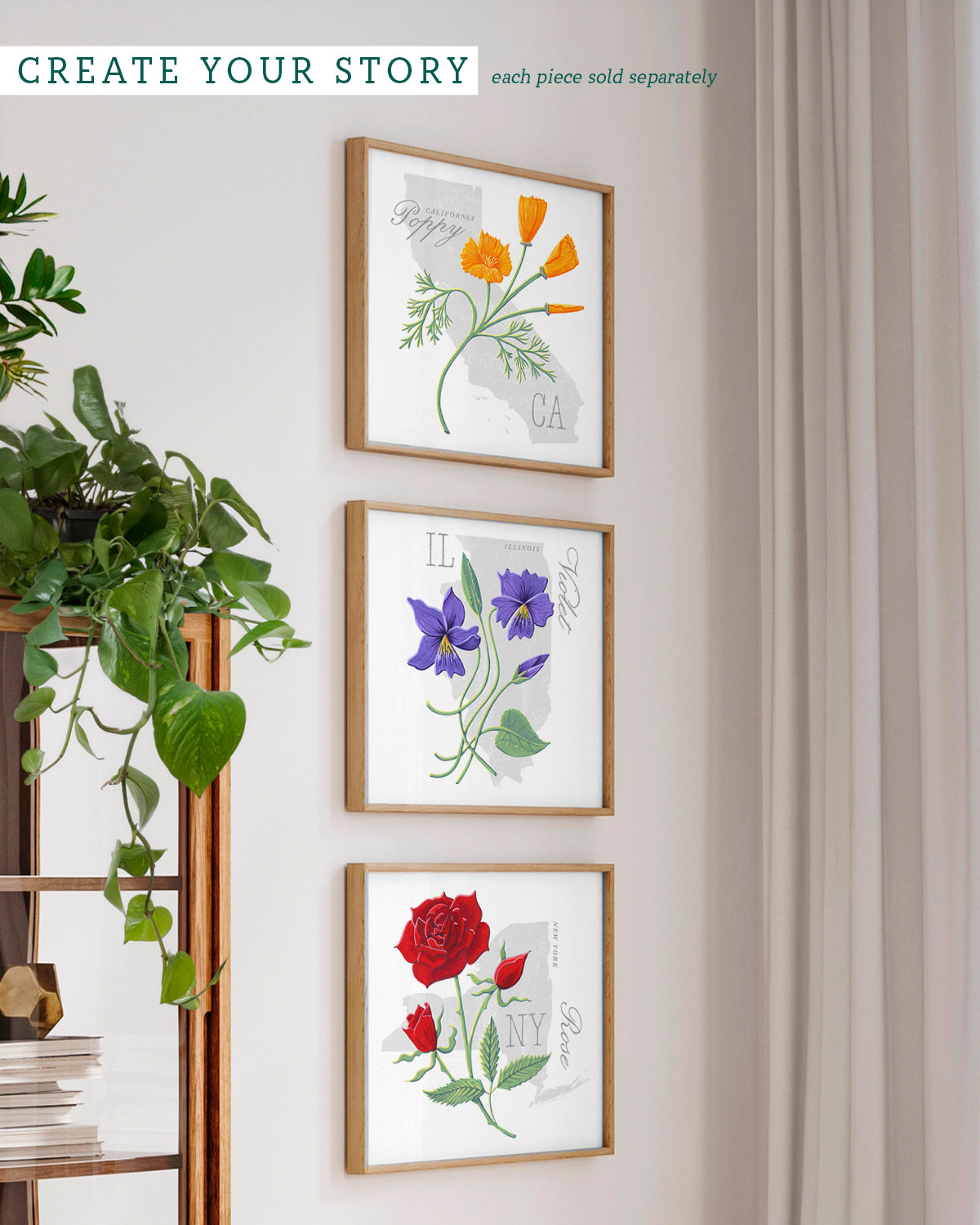 Violet (Illinois) state flower fine art print, classic botanical style on white background. Oak frame available.