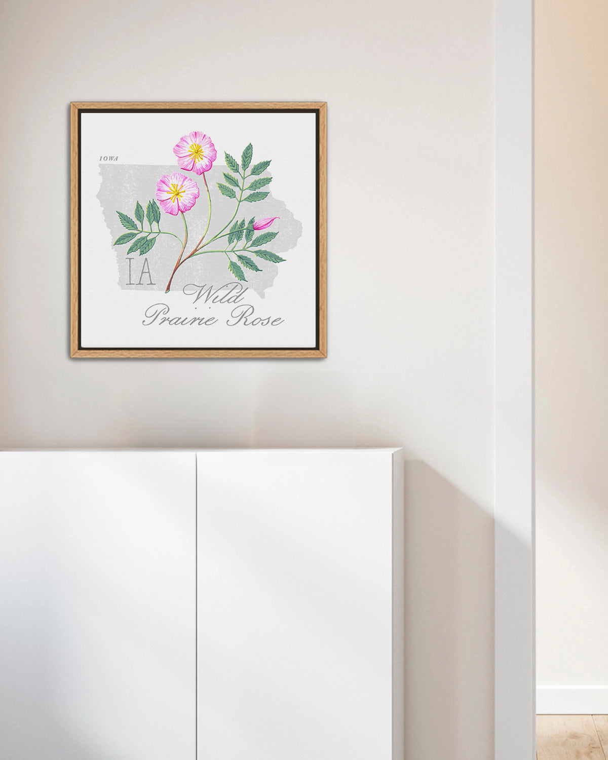 Iowa (Wild Prairie Rose) state flower fine art print, classic botanical style on white background. Oak frame available.