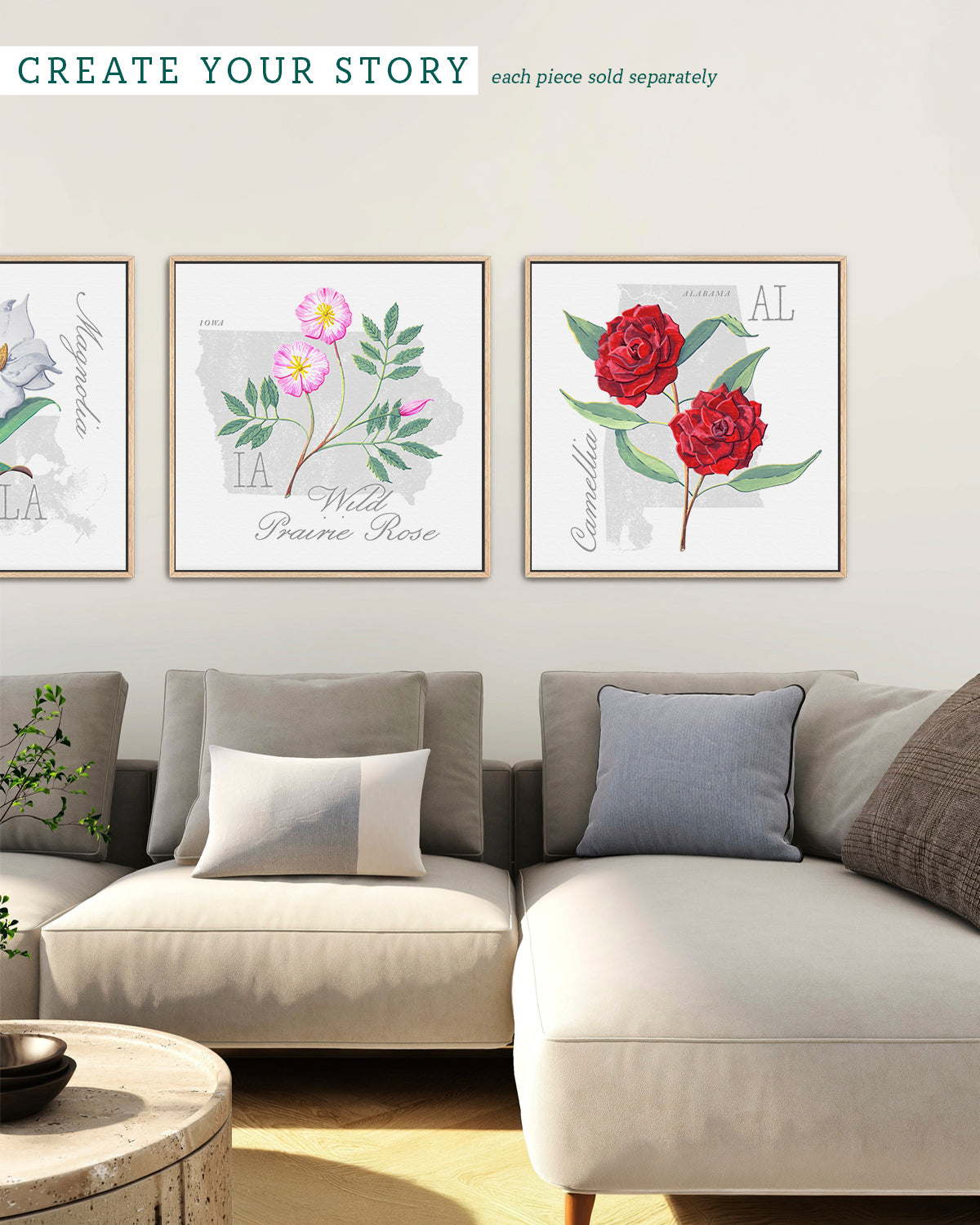 Iowa (Wild Prairie Rose) state flower fine art print, classic botanical style on white background. Oak frame available.