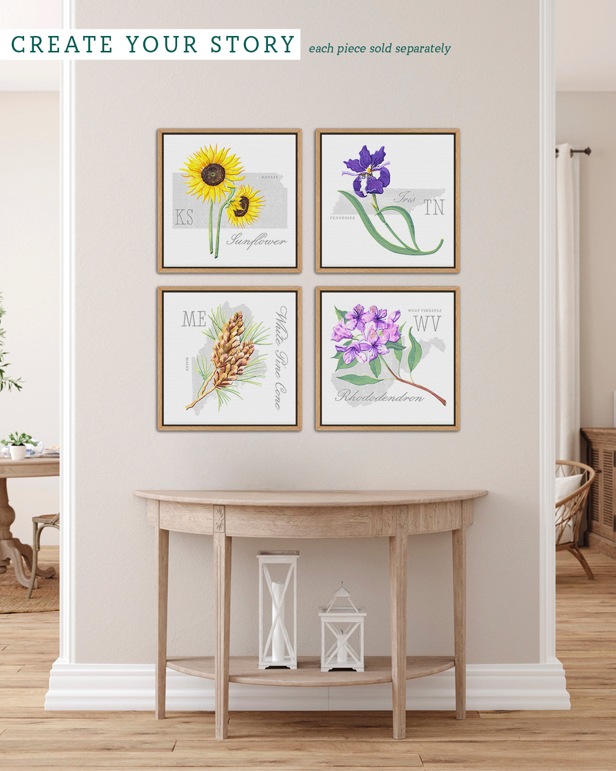 Kansas (Sunflower) state flower fine art print, classic botanical style on white background. Oak frame available.